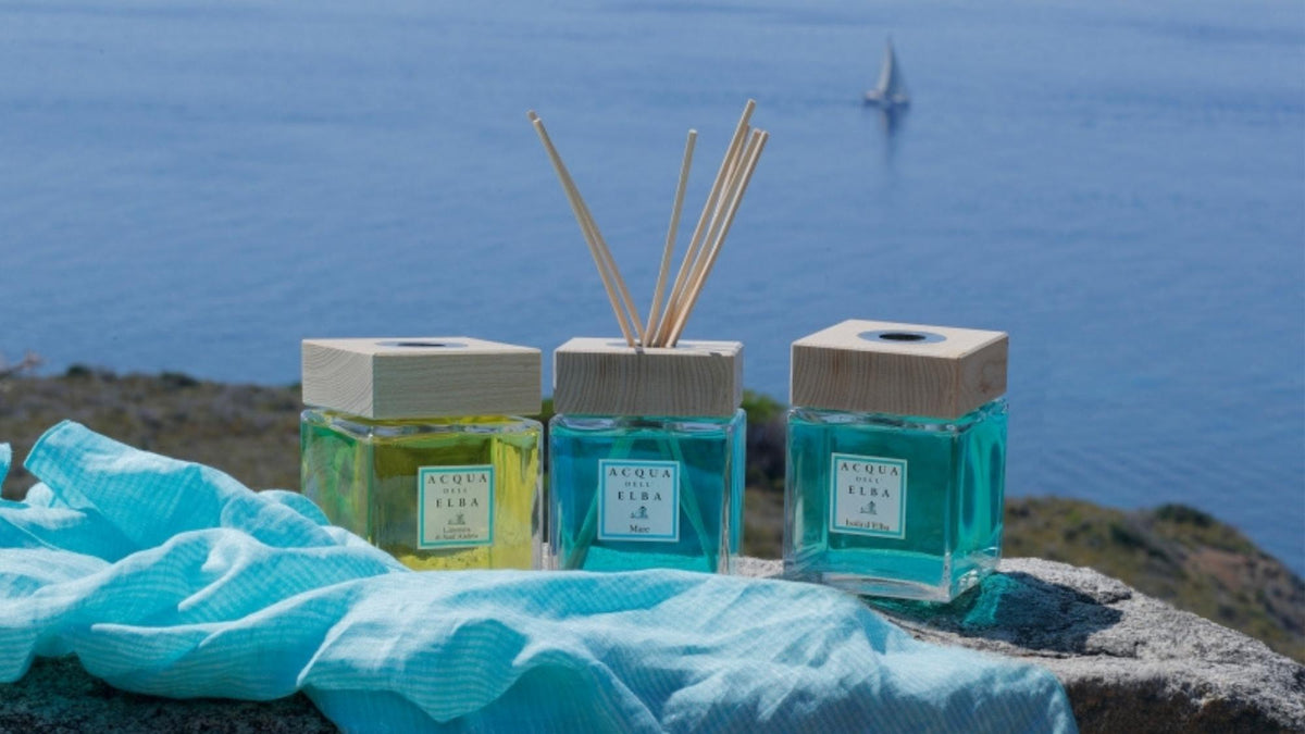 Fragre Italy Reed Diffuser Acqua dell'Elba Home Fragrance Diffuser Replacement Reeds – Acqua dell ...