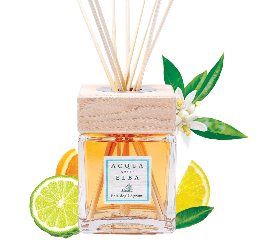 Acqua di Ebra reed diffuser bottle with amber liquid, a light wood cap, and natural reed sticks, styled with lime slices, orange slices, and green leaves on a white background.