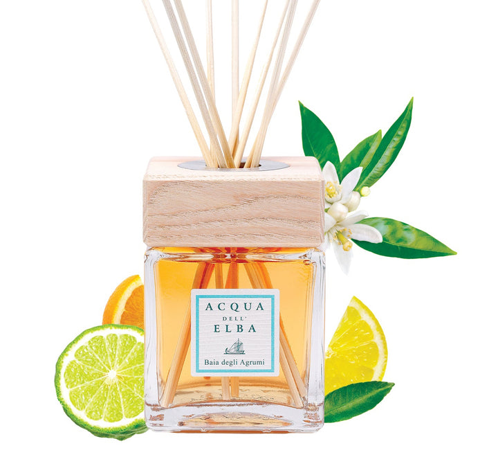 Acqua di Ebra reed diffuser bottle with amber liquid, a light wood cap, and natural reed sticks, styled with lime slices, orange slices, and green leaves on a white background.