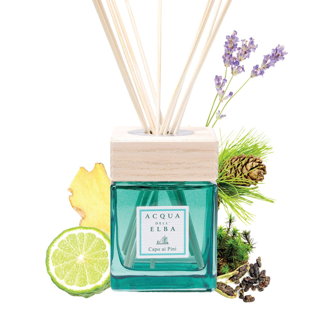 Discovery Box: 'Elba Groves' 2026 New Home Fragrances