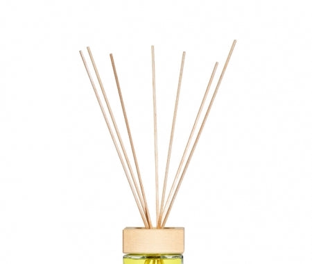Acqua dell'Elba Limonaia di Sant'Andrea Fragrance and Diffuser Refill - Thumbnail 5